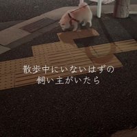 飼い主さんに気付いていません