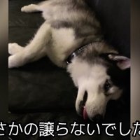 なかなか手放してくれない…