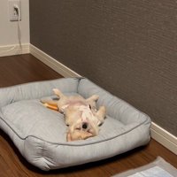 堂々と眠ることも