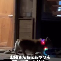 「今日はダメか…」