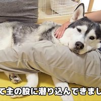 パパの近くが一番安心！！