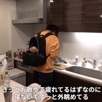 赤ちゃんのようなモコちゃん