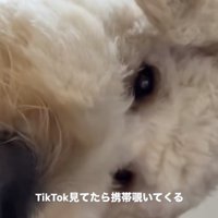 じわじわきちゃいます