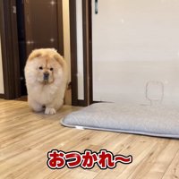 ピカピカになったよ！！
