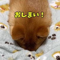 声をかけるママ