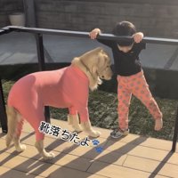 靴を見つめる犬と片足を上げる男の子