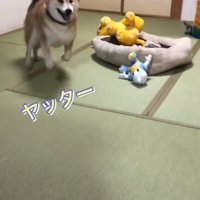 喜ぶ福くん