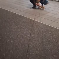 CoCoちゃんとパパさんの再会5