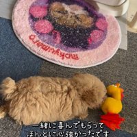 みらいちゃんが元気になるまで7