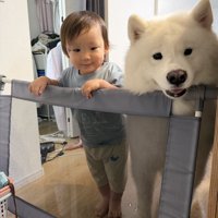 失敗