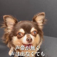 イブちゃんが幸せを掴むまで3