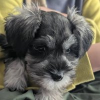 お兄ちゃんのことが大好き！！