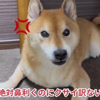 ママにブチギレ！！