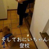 制服姿のお兄ちゃんが来たら…