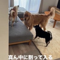 「とりあえず落ち着いて」