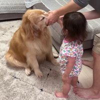 お手伝いするほのちゃん
