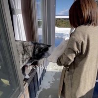 「はじめまして」の赤ちゃんとあもちゃん