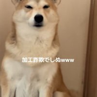 本当に同じ子？
