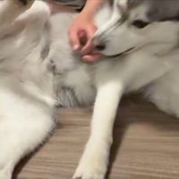 そこじゃない