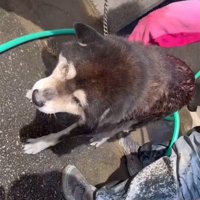 綺麗に洗ってあげる