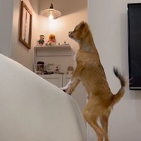スタイル抜群すぎる♡
