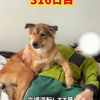 どちらが飼い主かわからない…！