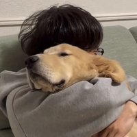パパに抱きしめられる犬