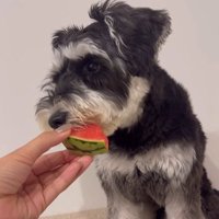 ボセくんの成長記録9