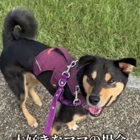 生粋のママっ子