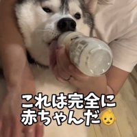 なりきり度100％！