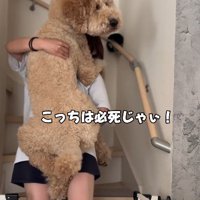 「ママ…ありがと…」