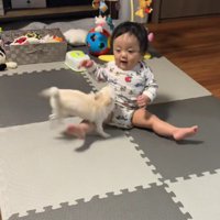 じゃれあっていたら…