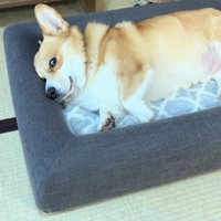 まさかの塩対応