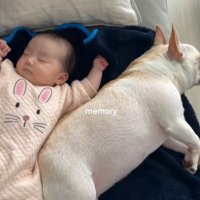 ぶうちゃんと赤ちゃん5