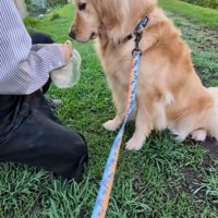 すっかりオヤツに夢中♪