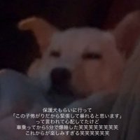 車に乗せたら…