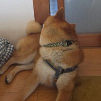 隙間からチェック