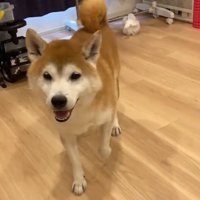 笑顔の甚八くん