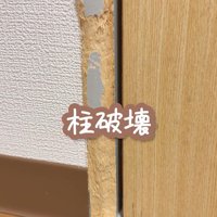 イタズラ好きなたこやきちゃん4