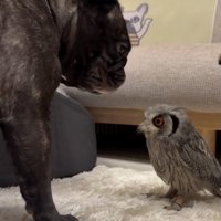 仲良くなれる日が楽しみ。