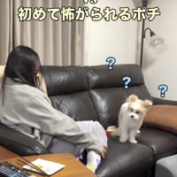 「なんで？？」