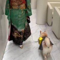 テチテチ歩いて会場を出る