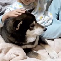 優しいまなざし