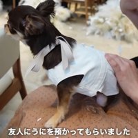 お友達のお膝に乗って式に参列