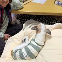 これからは賑やかな4人暮らし