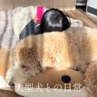 気持ちいい枕代わり