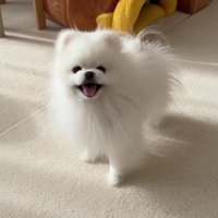 半年ぶりに実家に帰省