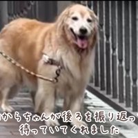 ほのちゃんを待つおからちゃん