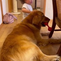 愛情溢れるパトラちゃんでした