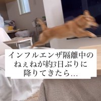 らむねちゃんとお姉ちゃんの再会2